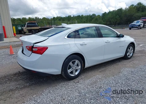 2024 Chevrolet Malibu Fwd 1Lt z USA, uszkodzony, nr VIN 1G1ZD5ST0RF176999